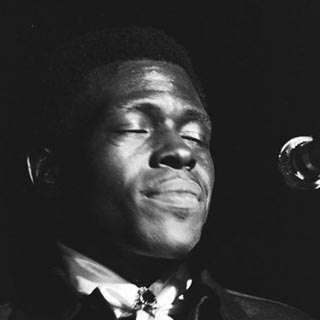 Lee Oskar Featured Artist Junior Wells - In Memoriam